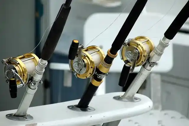 fishing-reels-