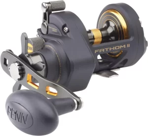 PENN Fathom II Star Drag Conventional Fishing Reel