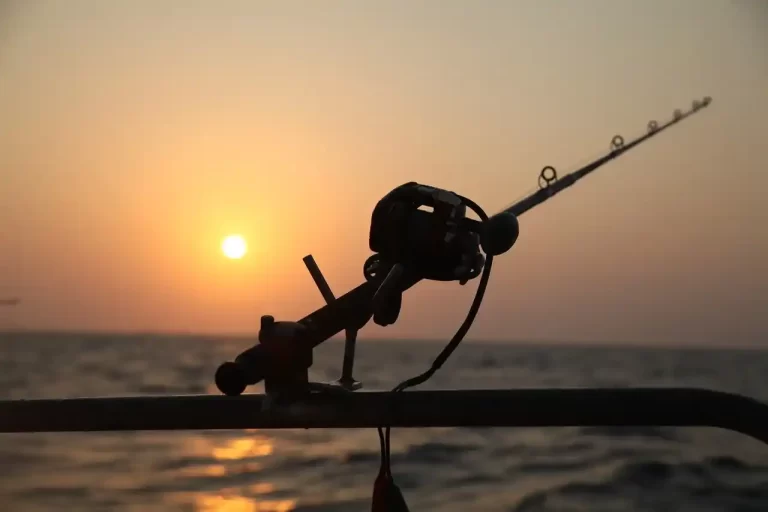 Conventional Reels for Saltwater
